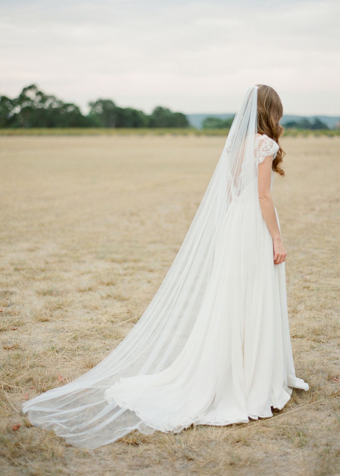REMY  Chapel veil with lace - TANIA MARAS BRIDAL